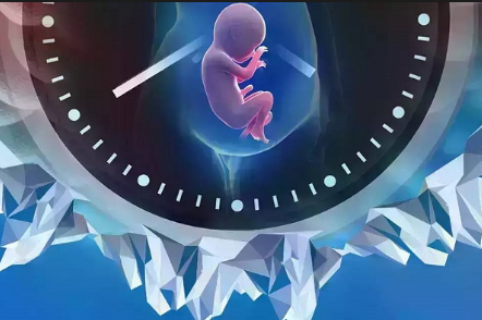 卵子凍結保存